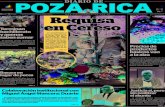 Diario de Poza Rica 06 de Agosto de 2015