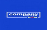 Company profile net one com