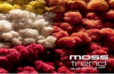 Moss trend - naturalny mech dekoracyjny