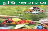 Krishi jagran gujarati magazine january 2016