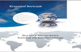 Monografia: Bariery rozwojowe handlu elektronicznego