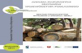Raport - sektor drzewny