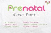 Prenatal (Case Part I) - Anno 2015/2016
