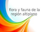 Presentacion de-flora-y-fauna-de-la-region-altiplano