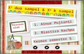 chi square 2 sample & k sample