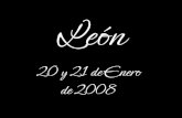 Leon Con Niebla