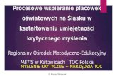 Systemowe wsparcie placówek oświatowych na Śląsku - METIS i TOC Polska