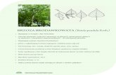 karty drzew i krzewów.pdf