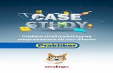 Case study Praktiker.pl – eMail Marketing