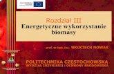 Rozdział III - Energetyczne wykorzystanie biomasy