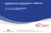 Zakażenia Clostridium difficile
