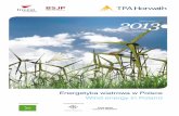 Raport Energetyka wiatrowa w Polsce 2013