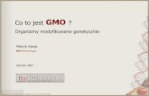 Co to jest GMO ?