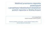 indywidualnych doświadczeń polskich migrantów w Wielkiej Brytanii