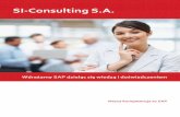 SI-Consulting S.A.