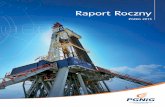 Raport Roczny PGNiG 2013