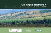Przewodnik po obszarach Natura 2000 (pdf, 7 MB)