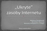 Mateusz Paradowski - "Ukryte" zasoby Internetu