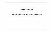 Konstruktor Profile Stalowe