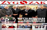 zygzak - 11-12/2015(187)