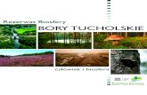 Rezerwat Biosfery Bory Tucholskie