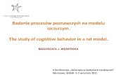 Badanie procesów poznawczych na modelu szczurzym. The study ...