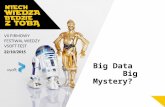 Big data  big mystery ?