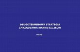 Wyciąg z Długoterminowej Strategii Zarządzania Marką Szczecin