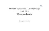 Moduł Sprzedaż i Dystrybucja SAP ERP Wprowadzenie
