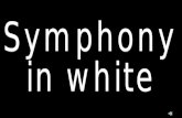 Sinfonia en blanco_i