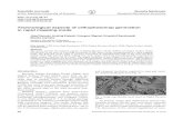 Technological aspects of orthophotomap generation in rapid ...