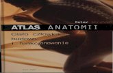 Atlas anatomii peter abrahams