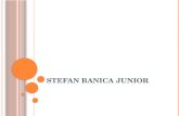 Stefan banica junior