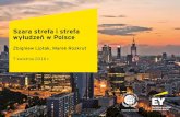 Szara strefa i sfera wyłudzeń w Polsce