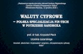 Wirtualne waluty - polska specjalizacja Fin-Tech w potrzebie sandboxa