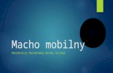 Macho mobilny Press