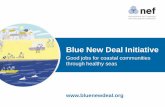 3. Fernanda Balata  NEFs Blue New Deal
