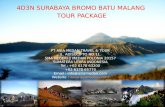4D3N SURABAYA - BROMO - BATU MALANG TOUR PACKAGE