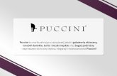 Puccini - kraina piękna, elegancji i stylu
