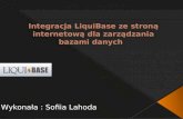 Integracja liquibase ze stroną internetową dla zarządzania mapami