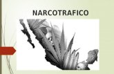 Narcotrafico ppt