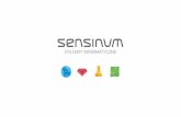 Sensinum - kompleksowa realizacja projektów informatycznych
