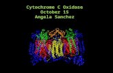 Cyt c oxidsase LECTURE