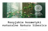 Rosyjskie kosmetyki naturalne Natura Siberica