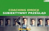 Coaching emocji-subiektywny-przeglad