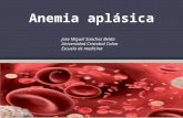 Anemia aplasica