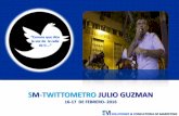 SM-Twittometro "Julio Guzman"