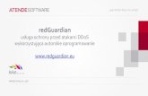 redGuardian Anty-DDoS