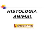 Histologia animal 2016