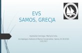 EVS in Archipelagos